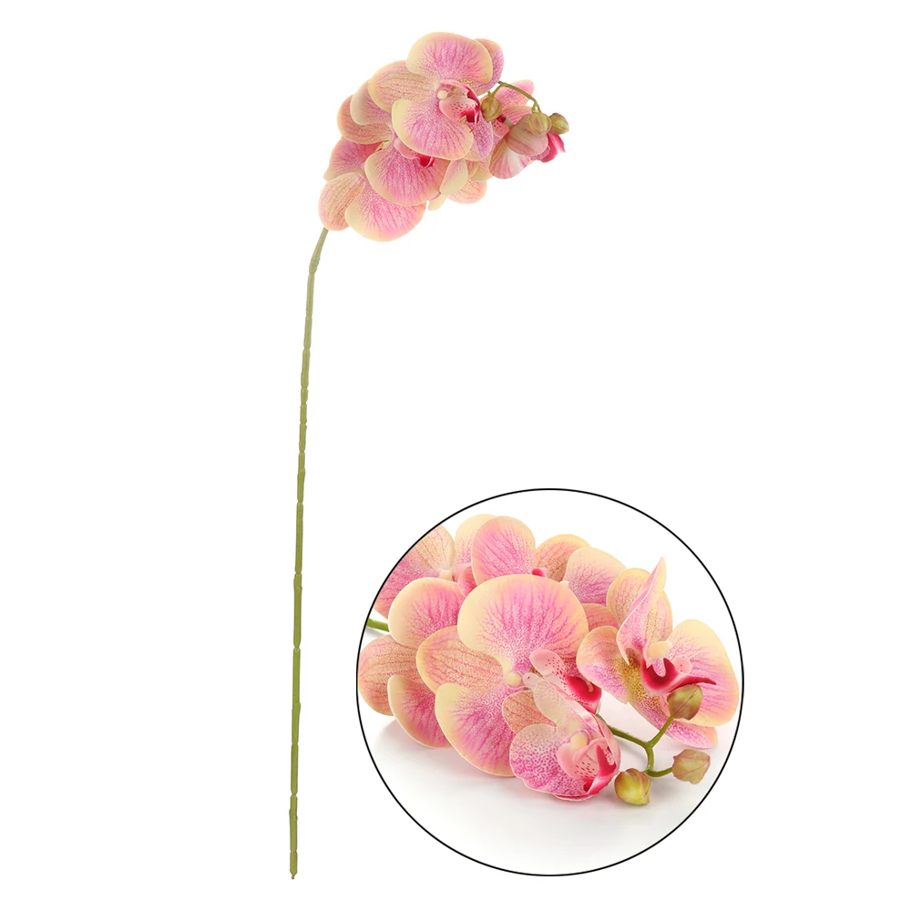 3D искусственная Орхидея, Бабочка цветы искусственные фаленопсис Flor De Lis Орхидея цветы для украшения дома
3D искусственная Орхидея, Бабочка цветы искусственные фаленопсис Flor De Lis Орхидея цветы для украшения дома