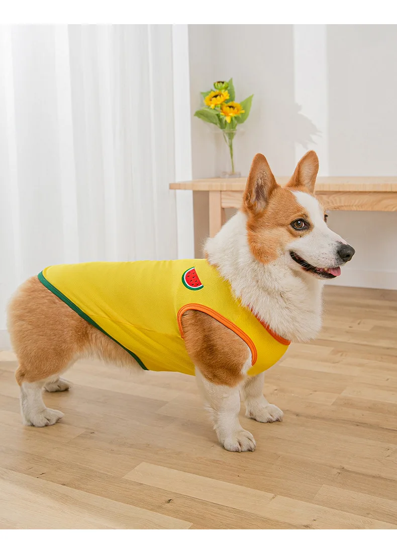 Cartoon Fruit Spring Summer Dog Vest Breathable Two-legged Clothes Small and Medium-sized Dog Cat Pet Clothes Dog Shirt for Dogs
Cartoon Fruit Spring Summer Dog Vest Breathable Two-legged Clothes Small and Medium-sized Dog Cat Pet Clothes Dog Shirt for Dogs