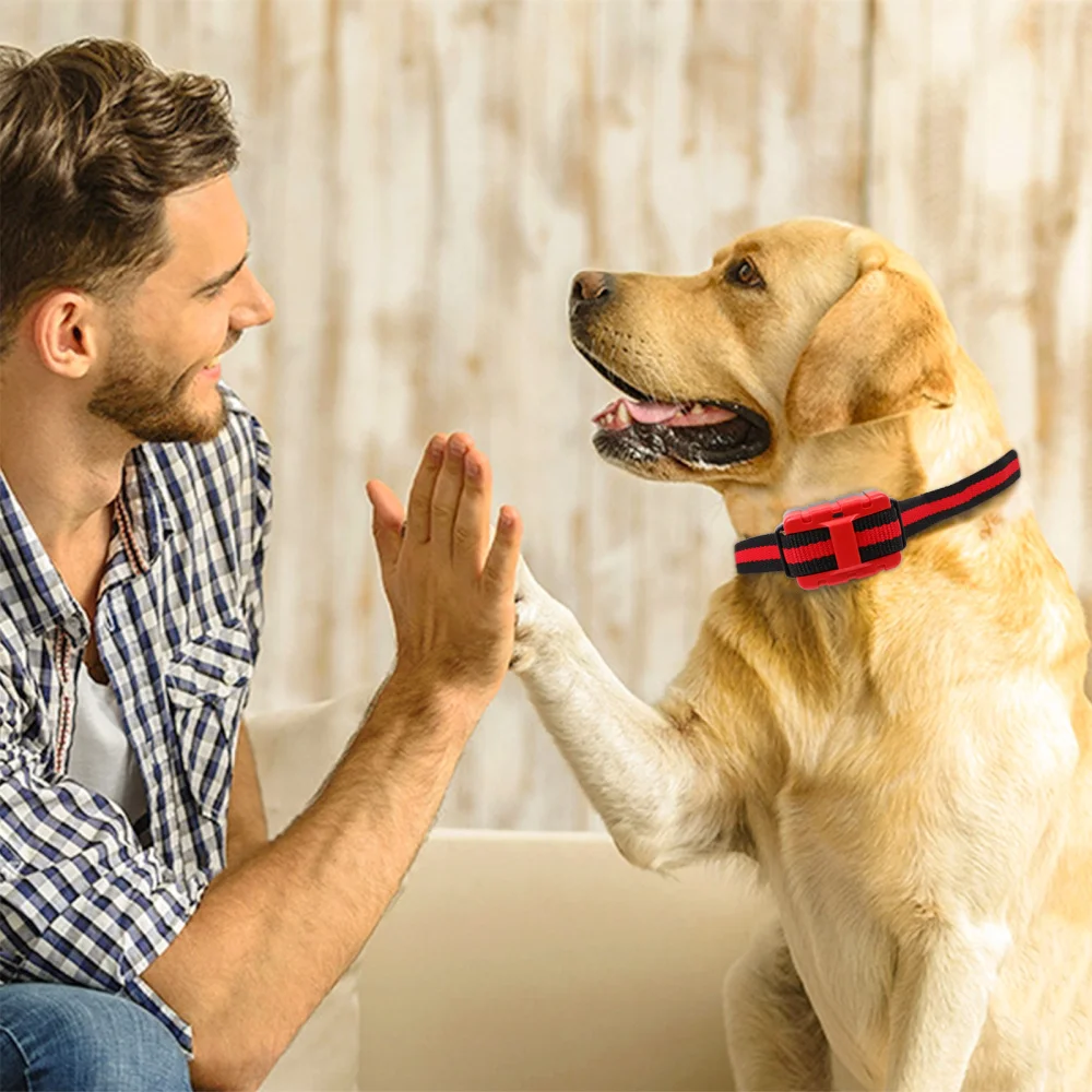 1 Set Barking Control Device Anti-Barking Collar Useful Barking Restriction Tool 
1 Set Barking Control Device Anti-Barking Collar Useful Barking Restriction Tool
