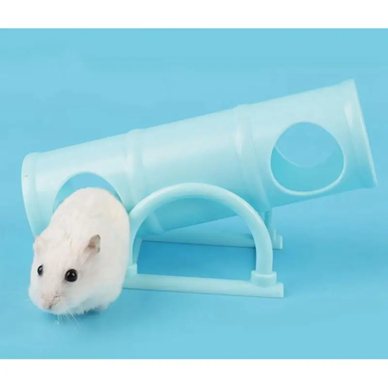 Legendog 1pc Hamster Seesaw Tube Plastic Hamster Seesaw Toy Seesaw Tunnel Interactive Toy For Hamster Pet Supplies
Legendog 1pc Hamster Seesaw Tube Plastic Hamster Seesaw Toy Seesaw Tunnel Interactive Toy For Hamster Pet Supplies