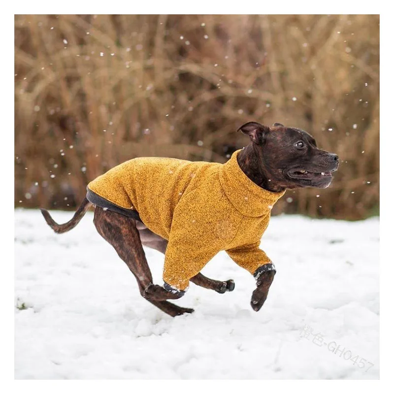 Winter Dog Thickened Cotton Padded Clothes Small & Medium Sized Dog Plush Warm Clothes Turtlenecks Windproof Pet Two-Legged Coat
Winter Dog Thickened Cotton Padded Clothes Small & Medium Sized Dog Plush Warm Clothes Turtlenecks Windproof Pet Two-Legged Coat