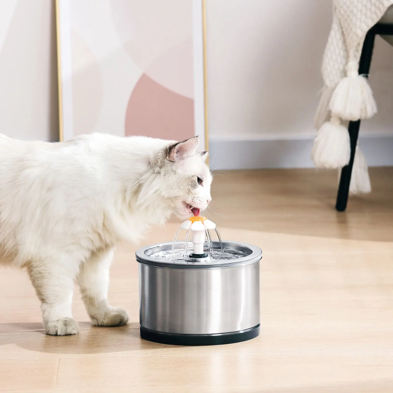 2.5L Stainless Steel Cat Water Fountain Ultra Quiet Pump with Blue LED Light and 3 Different Water Flow Design
2.5L Stainless Steel Cat Water Fountain Ultra Quiet Pump with Blue LED Light and 3 Different Water Flow Design