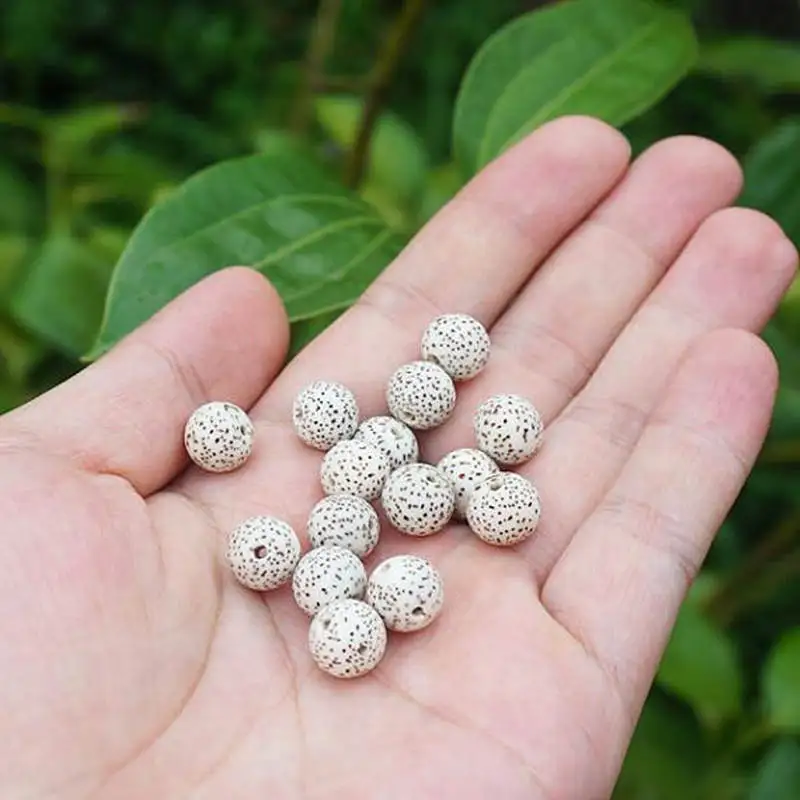 10PCS 10mm Natural Original White Star Moon Lotus Bodhi Round TSB0537
10PCS 10mm Natural Original White Star Moon Lotus Bodhi Round TSB0537