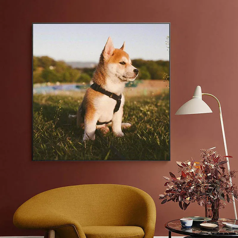 5D Diy Diamond Painting Home Room Animal Cross Stitch Full Drill Embroidery Cute Handmade Wall Decor Gift
5D Diy Diamond Painting Home Room Animal Cross Stitch Full Drill Embroidery Cute Handmade Wall Decor Gift