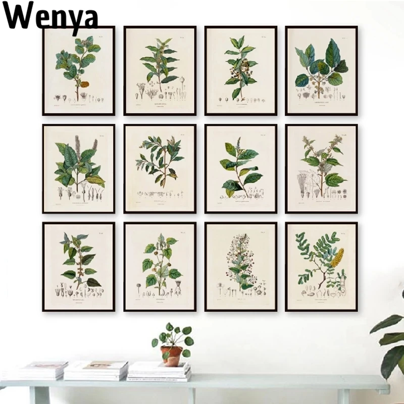 Botanical Studies Vintage Posters And Prints Antique French Plant Illustrations Canvas Painting Botany Wall Art Pictures Decor
Botanical Studies Vintage Posters And Prints Antique French Plant Illustrations Canvas Painting Botany Wall Art Pictures Decor