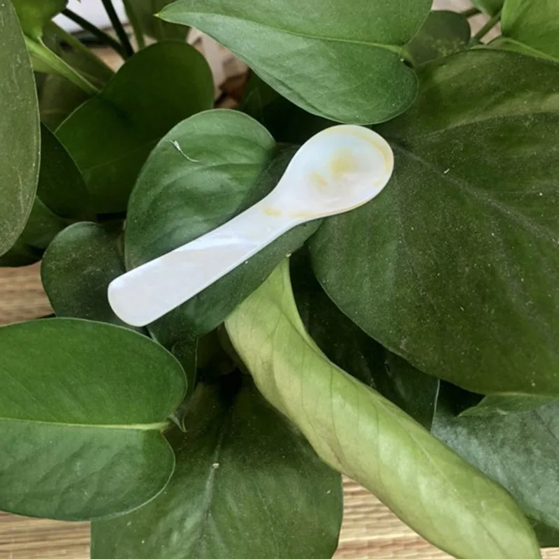 Creative Personality Roe Mask Coffee Spoon Small Pressure Paint, Hotel Simple Unique Kitchen Utensils 7cm Crew Seashell Spoon
Creative Personality Roe Mask Coffee Spoon Small Pressure Paint, Hotel Simple Unique Kitchen Utensils 7cm Crew Seashell Spoon