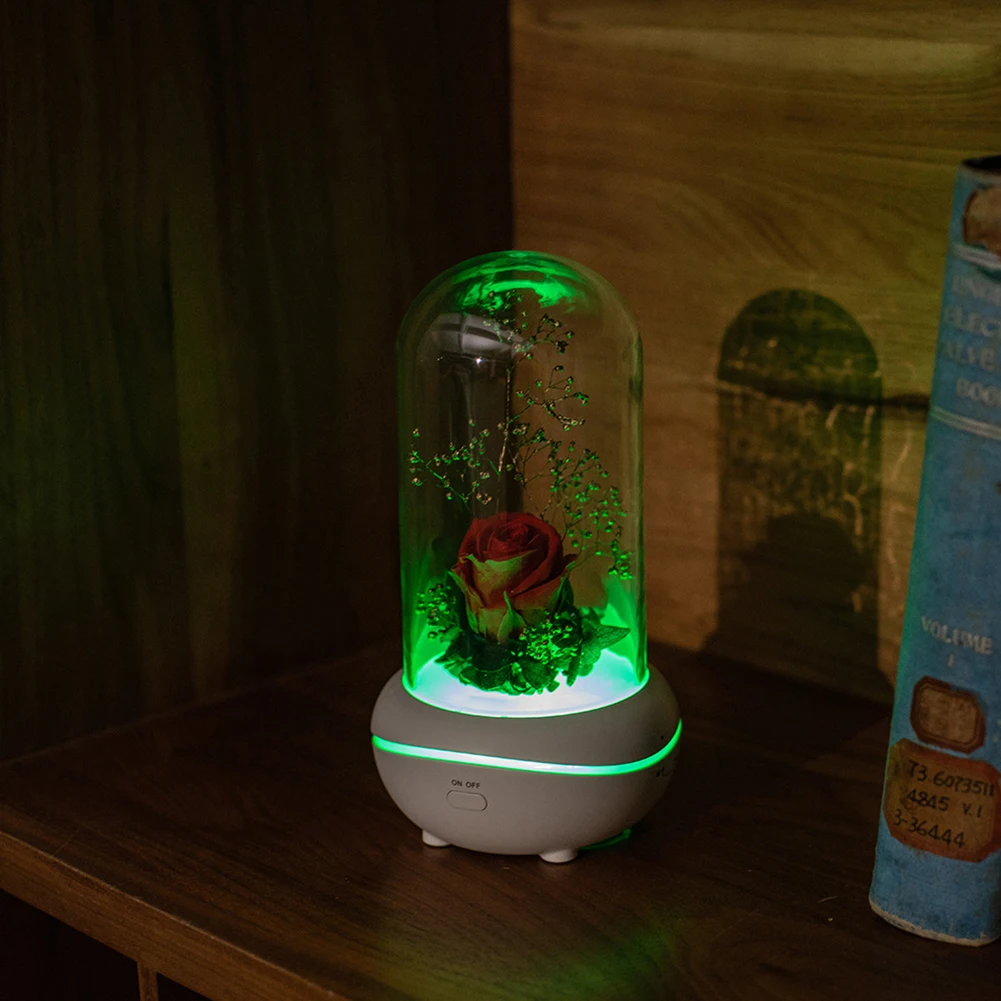 Everlasting Flower Aroma Diffuser Portable USB Rechargeable Diffuser with LED Colorful Night Lights for Valentine's Day Present
Everlasting Flower Aroma Diffuser Portable USB Rechargeable Diffuser with LED Colorful Night Lights for Valentine's Day Present