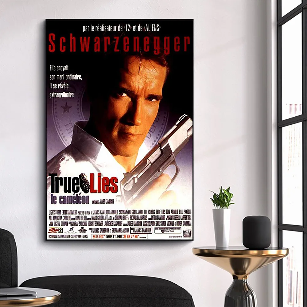 CP3302 True Lies (2) Classic Hot Movie Print Silk Fabric Poster Indoor Wall Art Decor Gift
CP3302 True Lies (2) Classic Hot Movie Print Silk Fabric Poster Indoor Wall Art Decor Gift