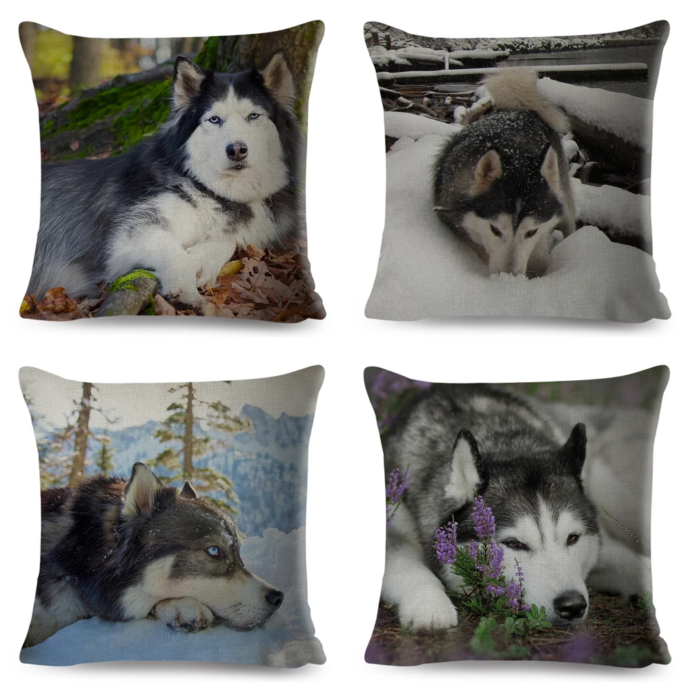 Siberian Husky Pillowcase Decor Cute Dog Pet Animal Cushion Cover for Sofa Home Chidren Room 45*45cm Polyester Pillow Case
Siberian Husky Pillowcase Decor Cute Dog Pet Animal Cushion Cover for Sofa Home Chidren Room 45*45cm Polyester Pillow Case