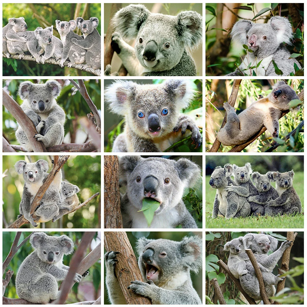 5D Diy Full Square Round Diamond Painting Kit Cute Animals Koala Cross Stitch Rhinestone Diamond Embroidery Mosaic Home Decor
5D Diy Full Square Round Diamond Painting Kit Cute Animals Koala Cross Stitch Rhinestone Diamond Embroidery Mosaic Home Decor