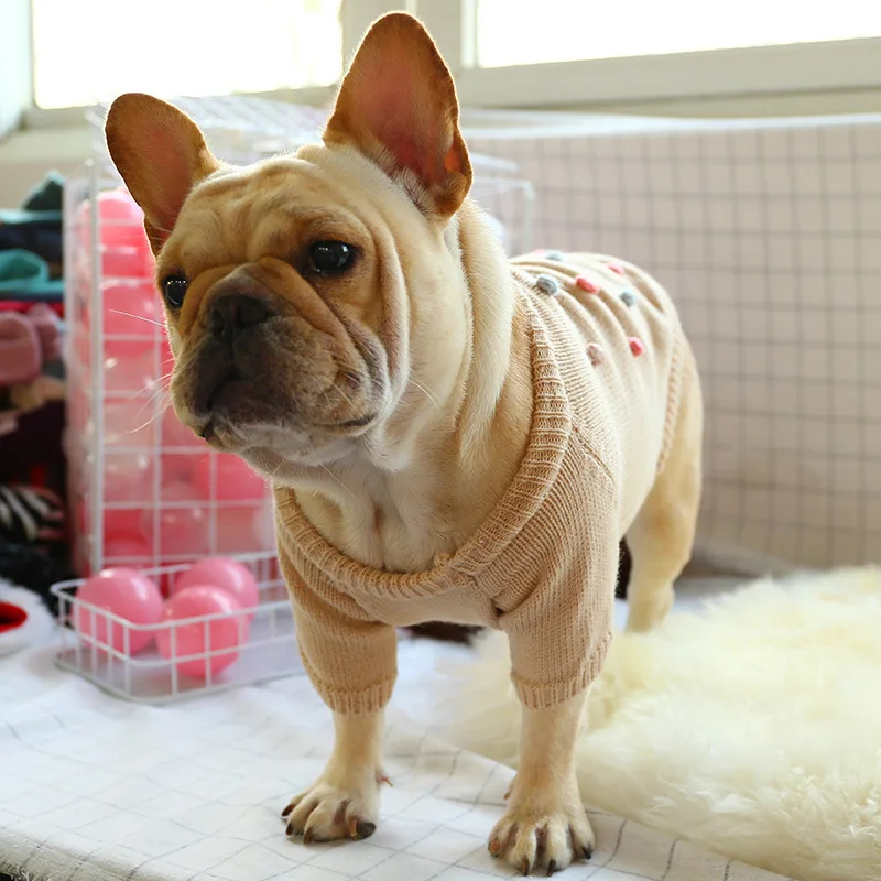 Dog Sweaters Fashion Sweet Winter WarmTwo-leg Casual Puppy Pet Cat Vest Small Dog Clothes Chihuahua Corgi Outfit Dog Sweater
Dog Sweaters Fashion Sweet Winter WarmTwo-leg Casual Puppy Pet Cat Vest Small Dog Clothes Chihuahua Corgi Outfit Dog Sweater