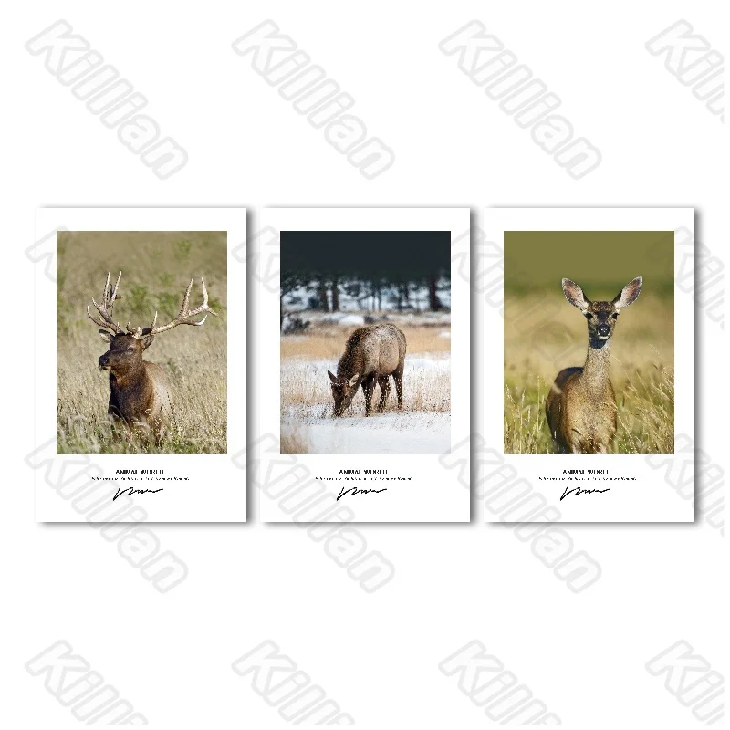 Deer Nordic Frameless Poster Home Bedroom Decorative Living Room Decoration Canvas Painting Hd Print Animals Style Fresco
Deer Nordic Frameless Poster Home Bedroom Decorative Living Room Decoration Canvas Painting Hd Print Animals Style Fresco