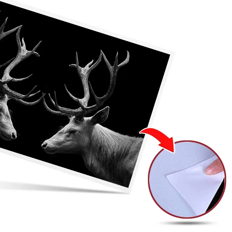 Modern 2 Deer Head Wall Art Canvas Painting Picture Poster and Print Gallery Home Decor
Modern 2 Deer Head Wall Art Canvas Painting Picture Poster and Print Gallery Home Decor