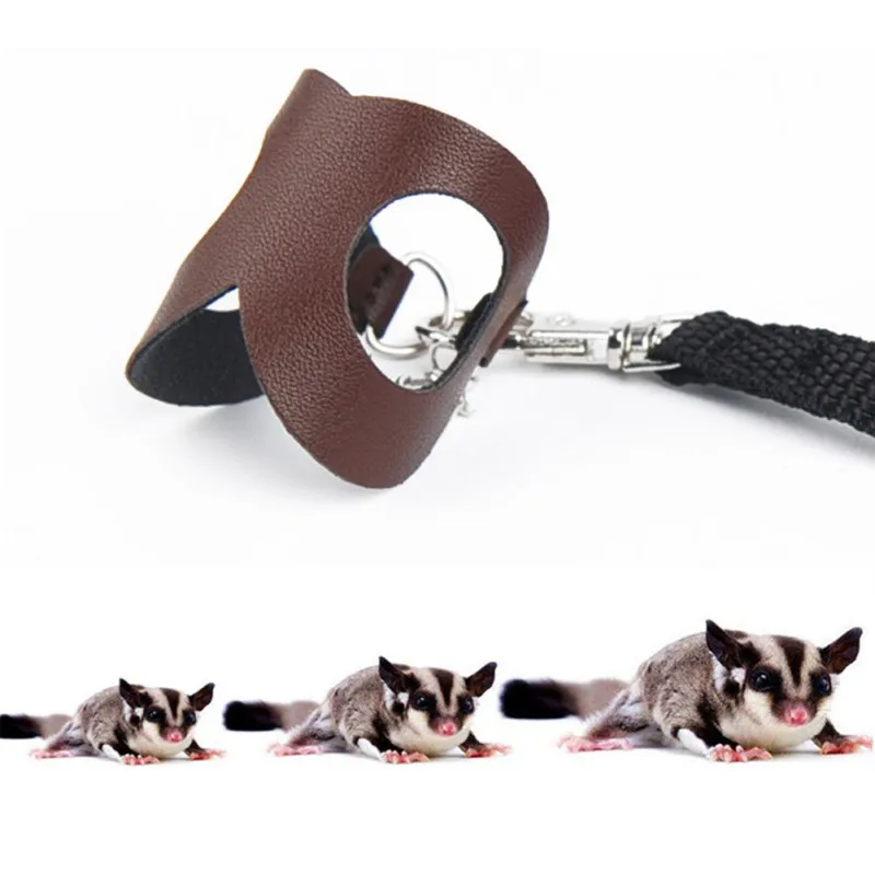 Small Pet Collar Leashes UP Leather Polyester Hamster Lizards Anti-lost Traction Rope Chest Strap Small Animals Outdoor Supplies
Small Pet Collar Leashes UP Leather Polyester Hamster Lizards Anti-lost Traction Rope Chest Strap Small Animals Outdoor Supplies