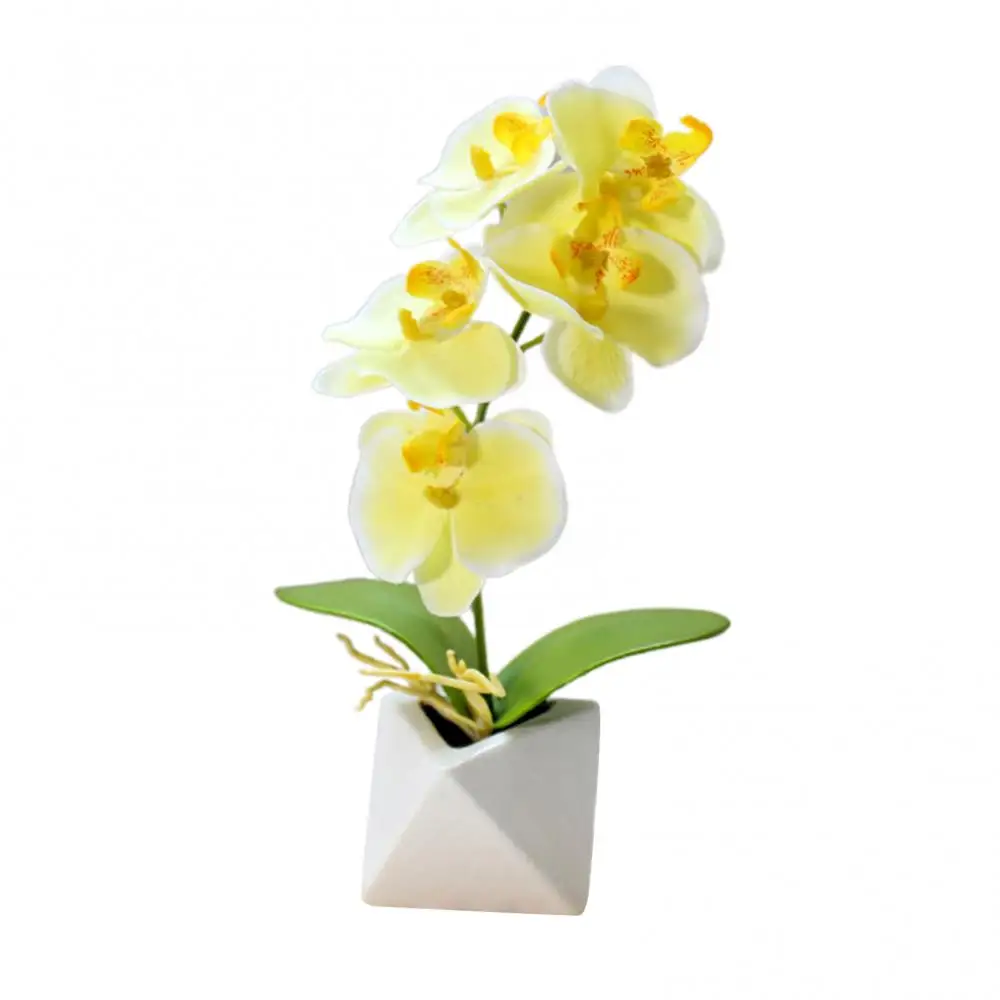 Simulation Phalaenopsis Bonsai Ornaments Artificial Flower Pot Table Flowers Fake Wedding Decoration Flowers Garden Decor
Simulation Phalaenopsis Bonsai Ornaments Artificial Flower Pot Table Flowers Fake Wedding Decoration Flowers Garden Decor
