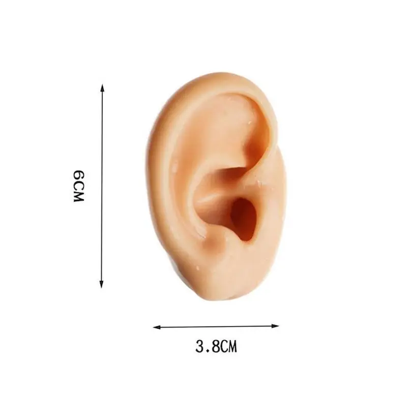Simulated Single-mode Ear 6cm x 3.8cm Silicone Human Display For Hearing Ear Display Artificial Props Medical teaching Earp T9V1
Simulated Single-mode Ear 6cm x 3.8cm Silicone Human Display For Hearing Ear Display Artificial Props Medical teaching Earp T9V1