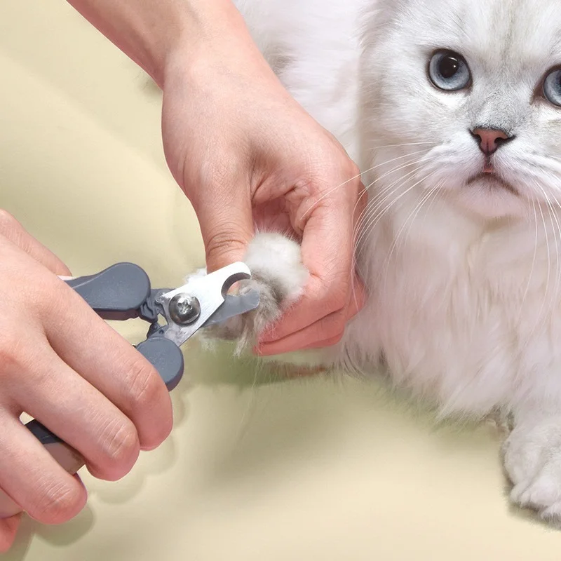 Professional Pet Nail Clippers Dog Cat Stainless Steel Two-color Labor-Saving Nail Clippers Convenient Beauty Cleaning Supplies
Professional Pet Nail Clippers Dog Cat Stainless Steel Two-color Labor-Saving Nail Clippers Convenient Beauty Cleaning Supplies