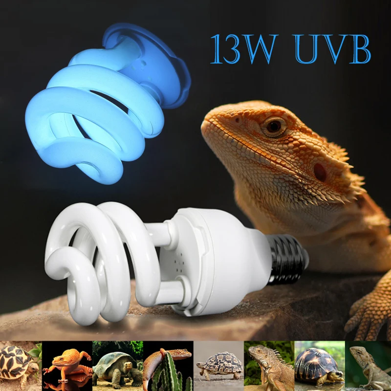13W Reptile Supplies Bearded Dragon Accessories E27 Reptile Lamp Outdoor AC 220-240V Safety Light Bulbs UVB Spiral Drop shipping
13W Reptile Supplies Bearded Dragon Accessories E27 Reptile Lamp Outdoor AC 220-240V Safety Light Bulbs UVB Spiral Drop shipping