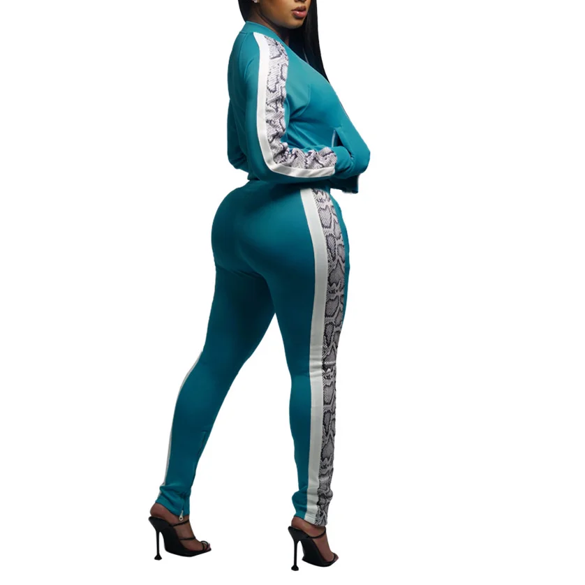 Fashion Women Two Piece Sportswear Set Casual Streetwear Sets Hoodies with Zipper + Long Pants Female Tracksuit Outfit Sets
Fashion Women Two Piece Sportswear Set Casual Streetwear Sets Hoodies with Zipper + Long Pants Female Tracksuit Outfit Sets