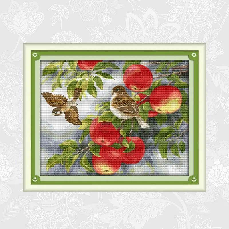 Birds and apples Patterns 14ct Printed Fabric 11ct White Fabric Cross Stitch kits DIY Handmade Beginner Embroidery Needlework
Birds and apples Patterns 14ct Printed Fabric 11ct White Fabric Cross Stitch kits DIY Handmade Beginner Embroidery Needlework