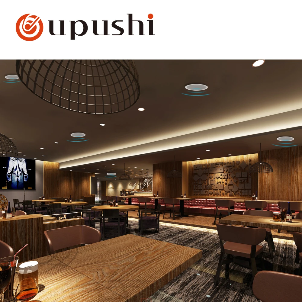 Restaurant Background Music System Power Amplifier with Ceiling Speakers Package Support FM and Microphone Input
Restaurant Background Music System Power Amplifier with Ceiling Speakers Package Support FM and Microphone Input