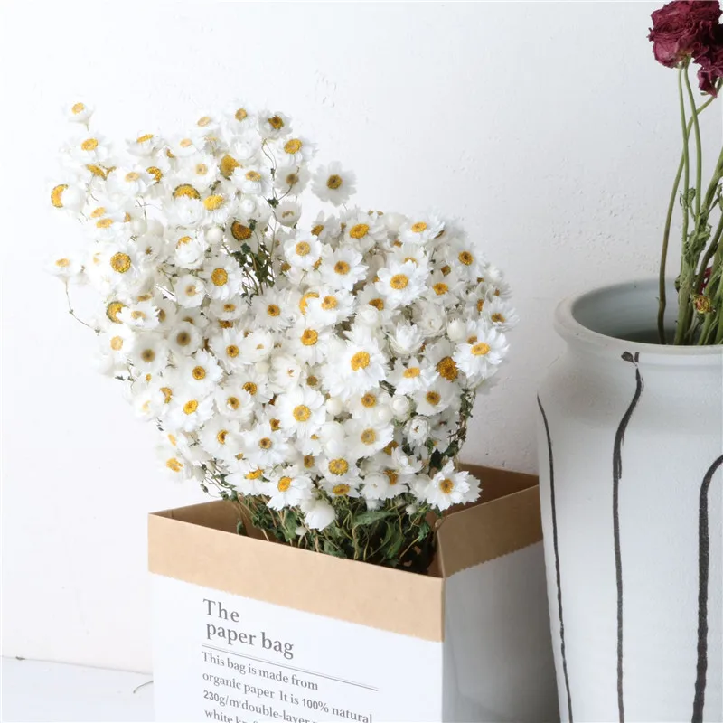 Natural Mini Fresh Bouqet Real Pretty Pink Little Daisy Flower Rodance Dry Chrysanthemum For Home Wedding Decoration Rudan Birds
Natural Mini Fresh Bouqet Real Pretty Pink Little Daisy Flower Rodance Dry Chrysanthemum For Home Wedding Decoration Rudan Birds