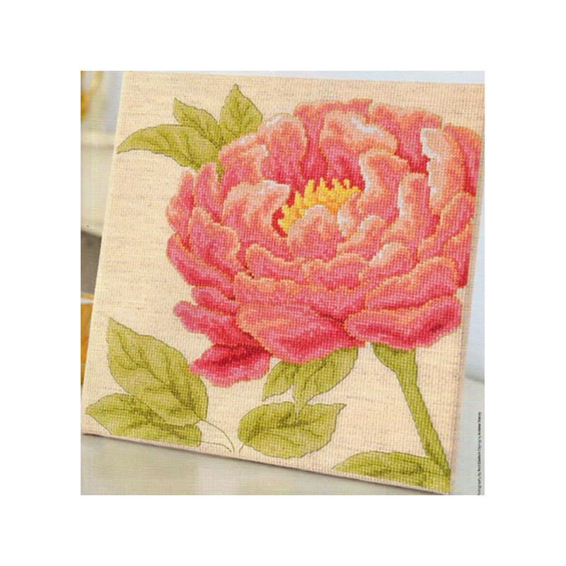 14CT Counted Chinese Cross Stitch Kits Set Embroidery Needlework Wall Art Decoration Red Flowers New
14CT Counted Chinese Cross Stitch Kits Set Embroidery Needlework Wall Art Decoration Red Flowers New