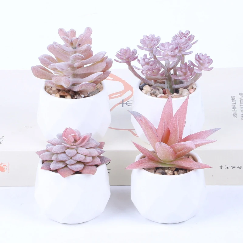 Office Simulation Potted Mini Simulation Fleshy Fake Flowers Green Plants Pink Green Plants
Office Simulation Potted Mini Simulation Fleshy Fake Flowers Green Plants Pink Green Plants