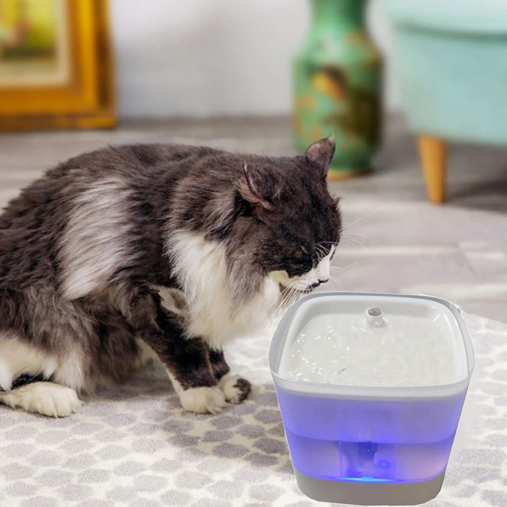 Cat Water Fountain, Pet Water Fountain with Intelligent Pump and LED Indicator for Water Shortage Alert, 2L Water Level Window
Cat Water Fountain, Pet Water Fountain with Intelligent Pump and LED Indicator for Water Shortage Alert, 2L Water Level Window