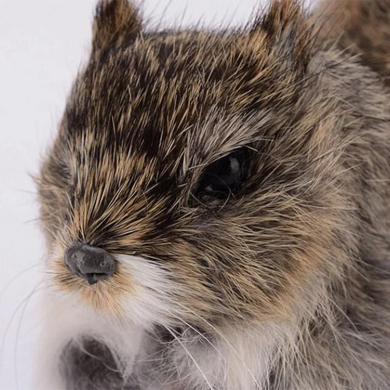 Mini Stuffed Plush Lovely Furry Fur Squirrel Simulation Squirrel Stuffed Doll Home Decor Ornaments Crafts Kids Gift
Mini Stuffed Plush Lovely Furry Fur Squirrel Simulation Squirrel Stuffed Doll Home Decor Ornaments Crafts Kids Gift