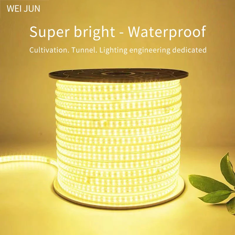 LED Strip Light Waterproof Outdoor High Brightness Flexible Lights Strip IP65 Commercial Lighting and Home Living Bedroom Lamp
LED Strip Light Waterproof Outdoor High Brightness Flexible Lights Strip IP65 Commercial Lighting and Home Living Bedroom Lamp