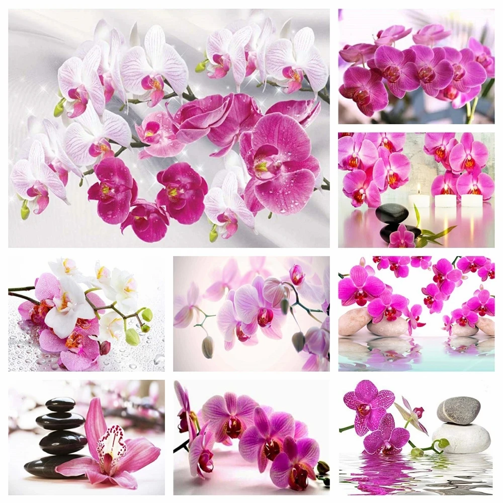 Orchid Diy Diamond Painting 5D Full Square Round Diamond Embroidery Flower Picture of Rhinestones Mosaic Wall Decoration
Orchid Diy Diamond Painting 5D Full Square Round Diamond Embroidery Flower Picture of Rhinestones Mosaic Wall Decoration