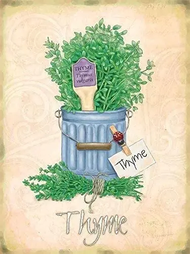 Garden Wall Thyme Decoration Metal Plate Home Living Room Corridor Kitchen Decoration Metal Tin Sign 8x12 or 12x16 Inches
Garden Wall Thyme Decoration Metal Plate Home Living Room Corridor Kitchen Decoration Metal Tin Sign 8x12 or 12x16 Inches