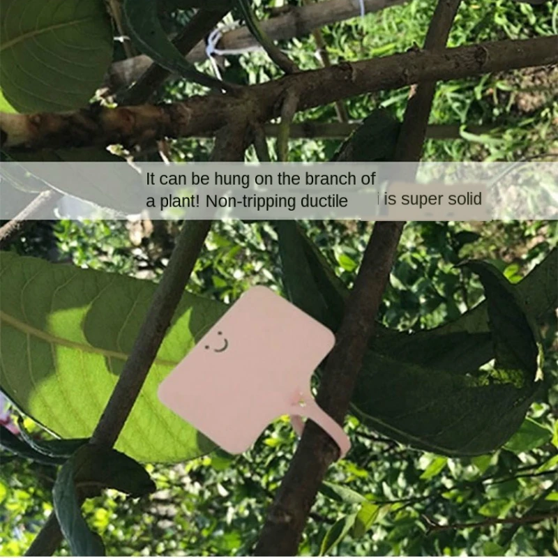 100PCS T type Premium Nursery Plant Label Plastic label waterproof record plate Garden Plant Pot Planter Vegetable Label Tag
100PCS T type Premium Nursery Plant Label Plastic label waterproof record plate Garden Plant Pot Planter Vegetable Label Tag