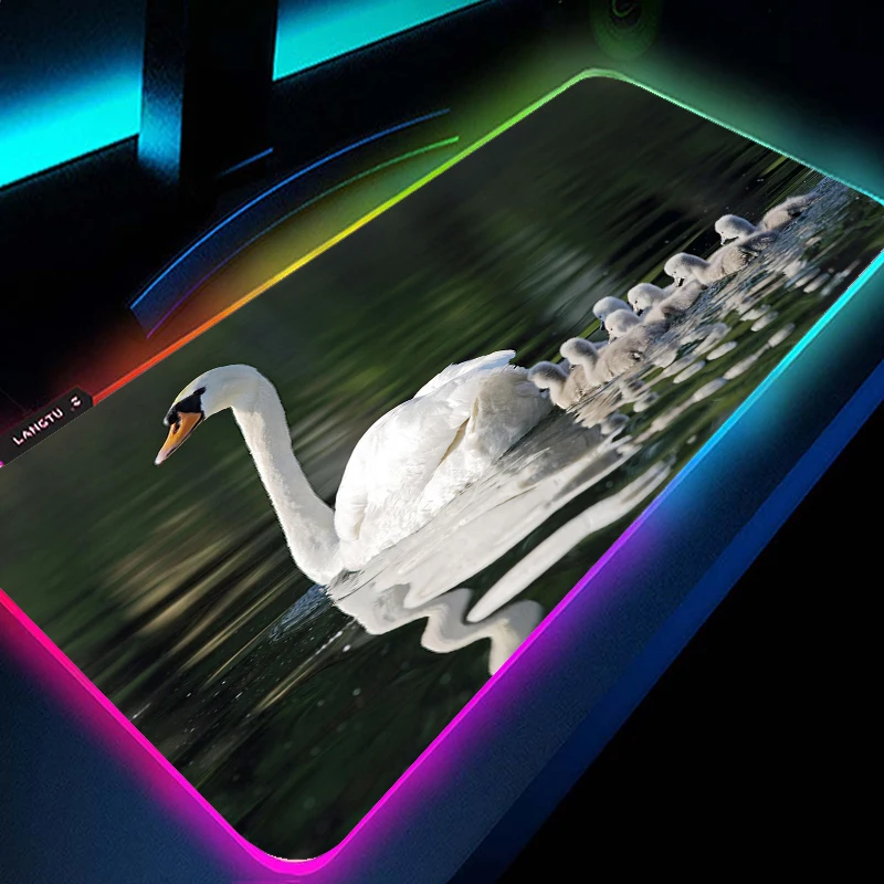 MRGLZY Animal Swan Gaming Mouse Pad RGB Laptop Keyboard Locking Gamer Accessories Desktop LED Gaming Table
MRGLZY Animal Swan Gaming Mouse Pad RGB Laptop Keyboard Locking Gamer Accessories Desktop LED Gaming Table