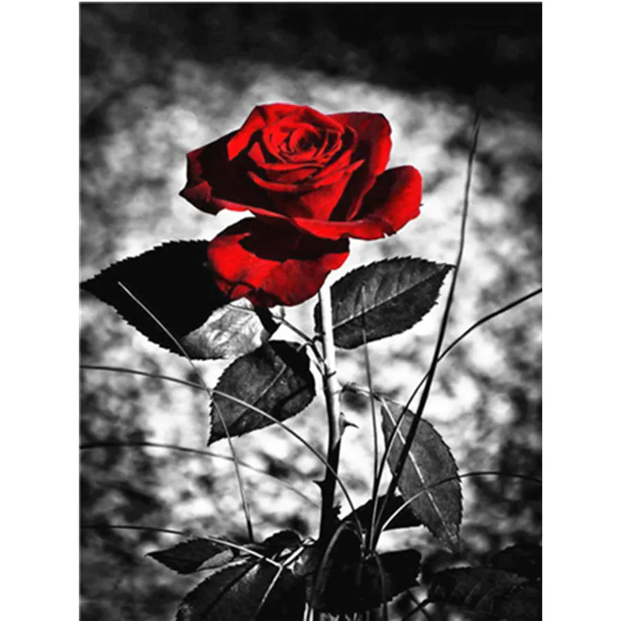5D DIY Diamond Painting Full Round/Square Black Red Landscape Diamond Embroidery Mosaic Rhinestone Scenery Home Decor
5D DIY Diamond Painting Full Round/Square Black Red Landscape Diamond Embroidery Mosaic Rhinestone Scenery Home Decor