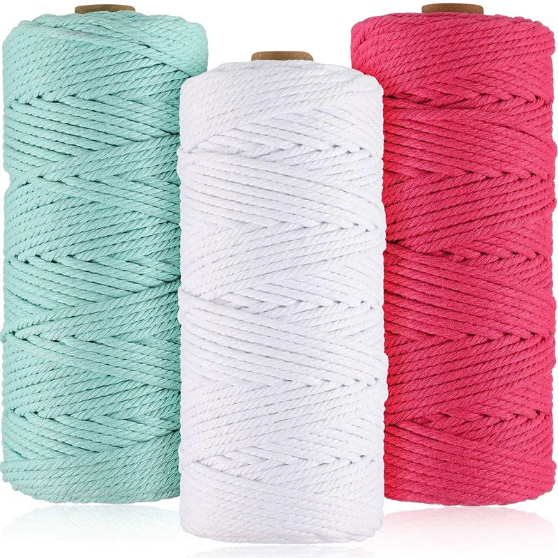 HOT-3 Rolls Macrame Cord 3Mm X 100M Natural Cord Spool Twine Twisted Rope For Dream Catcher Plant Hanger Craft Decorative
HOT-3 Rolls Macrame Cord 3Mm X 100M Natural Cord Spool Twine Twisted Rope For Dream Catcher Plant Hanger Craft Decorative