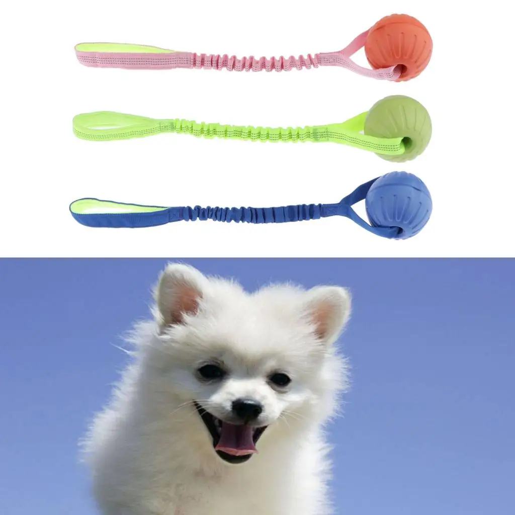 3Pieces Dog Ball on a Rope Toy Dog Teeth Cleaning Toy For Dogs Training 
3Pieces Dog Ball on a Rope Toy Dog Teeth Cleaning Toy For Dogs Training