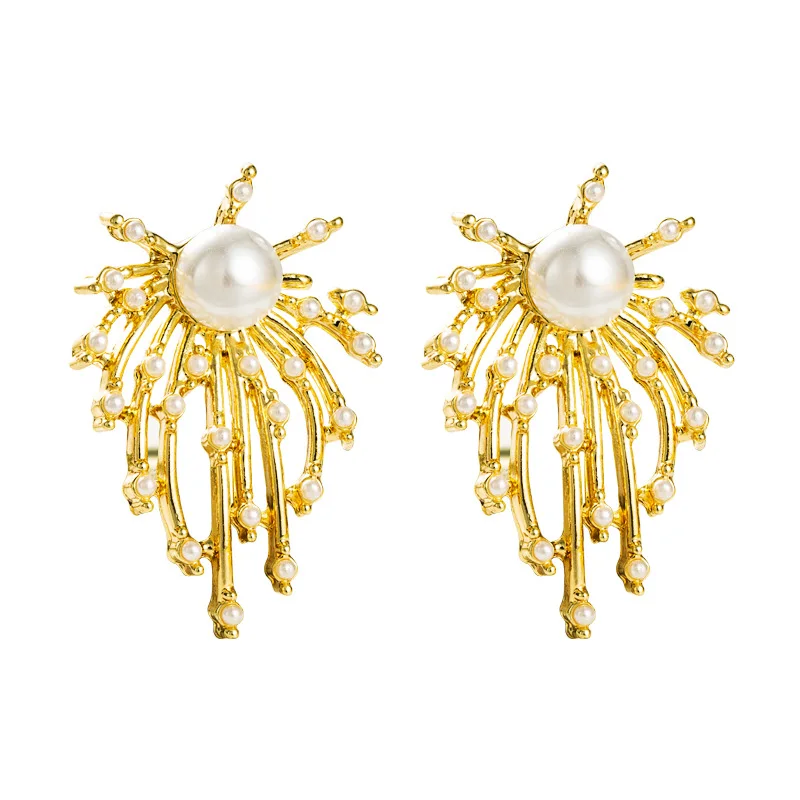 Korean earrings temperament fireworks pearl earrings niche fashion earrings ear jewelry
Korean earrings temperament fireworks pearl earrings niche fashion earrings ear jewelry