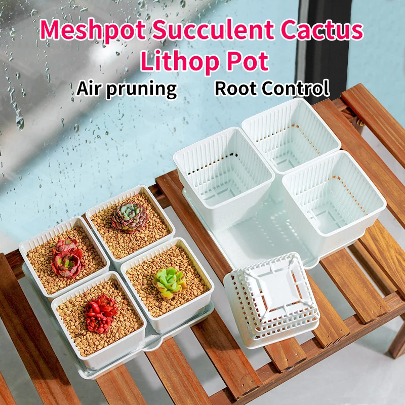Meshpot 7 cm Succulents Pot Plastic Flower Pot Square Cactus Planter Garden Home Decoration Root Controlling Basin Pot
Meshpot 7 cm Succulents Pot Plastic Flower Pot Square Cactus Planter Garden Home Decoration Root Controlling Basin Pot