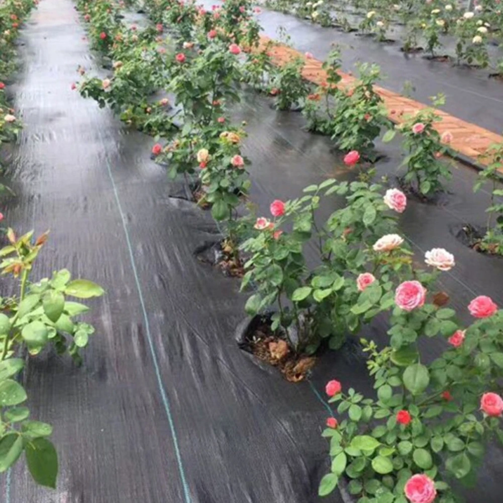 Weed Fabric Agriculture Greenhouse Garden Weed Control Fabric Barrier Ground Membrane Cover Weed Barrier Cloth Covers 2/3/5/10m
Weed Fabric Agriculture Greenhouse Garden Weed Control Fabric Barrier Ground Membrane Cover Weed Barrier Cloth Covers 2/3/5/10m