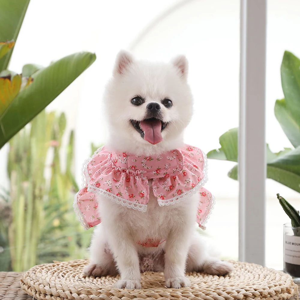 Милая жилетка для собак, воздухопроницаемая шлейка для собак, милая одежда, поводок для собак, кошек, щенков, ошейник для кошек, собак, нагруд...
Милая жилетка для собак, воздухопроницаемая шлейка для собак, милая одежда, поводок для собак, кошек, щенков, ошейник для кошек, собак, нагруд...