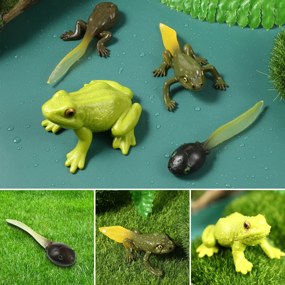 NUOBESTY 3 Sets Insect Educational Figures Life Cycle Figures Biology Science Toys for Children 
NUOBESTY 3 Sets Insect Educational Figures Life Cycle Figures Biology Science Toys for Children