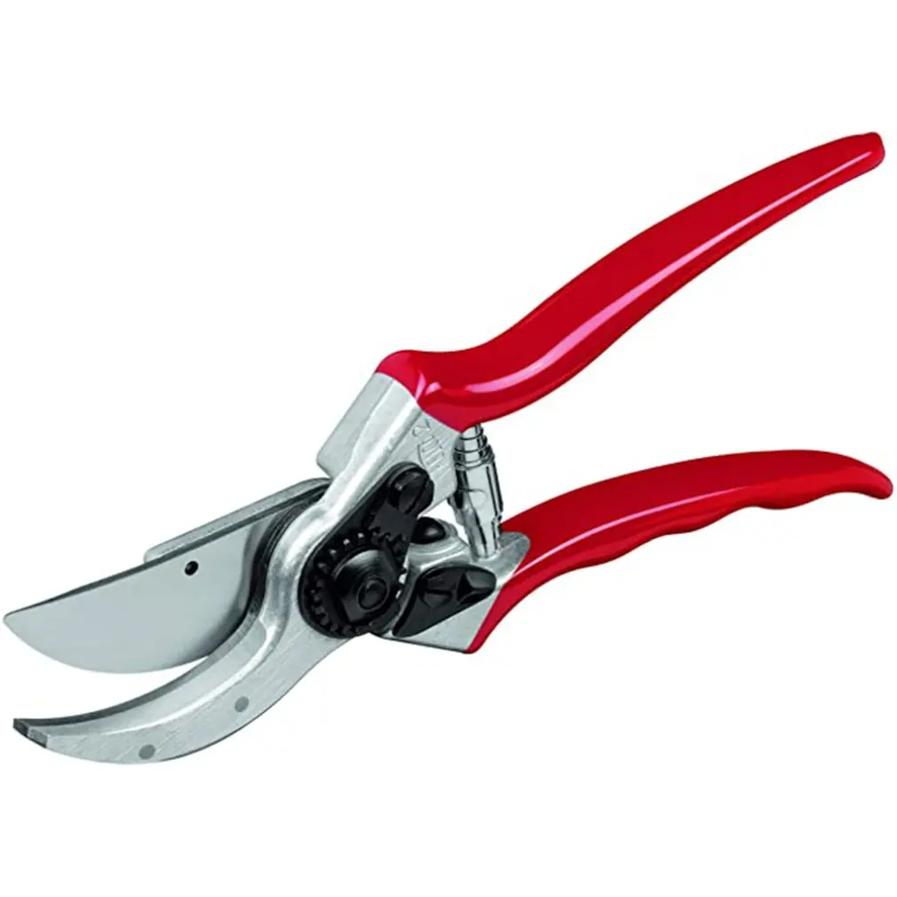 2021New Red Handle Gardening Cutting Braches Fruit Tress Farm Garden Scissors Cutter Picking Fruit Flowers Farming Trimming tool
2021New Red Handle Gardening Cutting Braches Fruit Tress Farm Garden Scissors Cutter Picking Fruit Flowers Farming Trimming tool