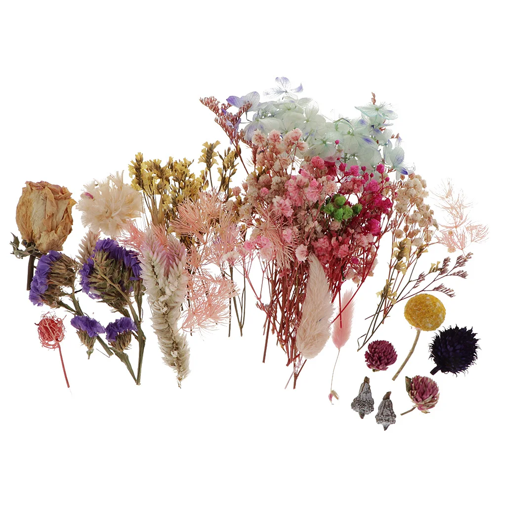 1 Box Multi Dried Flowers Kit for Candle Soap Making Supplies DIY Crafts DEcor Jewelry Making Accessories
1 Box Multi Dried Flowers Kit for Candle Soap Making Supplies DIY Crafts DEcor Jewelry Making Accessories