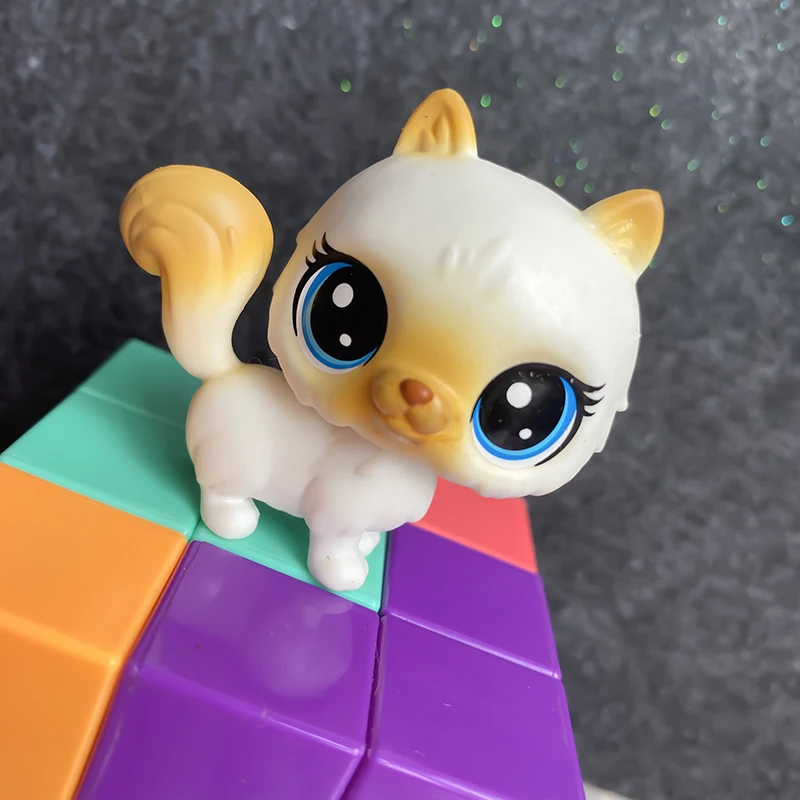 

LPS DOGS Pet Shop Collection Figure Collie Rare White Cat Squirrel Animals Cute Kid Toys Y2021102101
