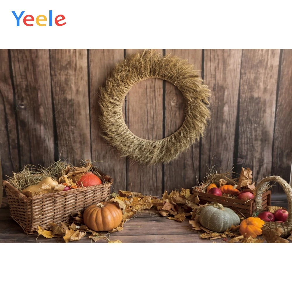 Фон для фотосъемки новорожденных с изображением осенней фермы, сарая, тыквы, деревянного пола
Фон для фотосъемки новорожденных с изображением осенней фермы, сарая, тыквы, деревянного пола