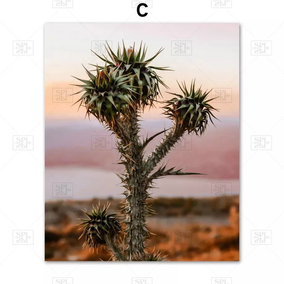 Nordic Poster Green Wheat Spiny Plant Quotes Canvas Painting Dusk Landscape Wall Art Print Pictures for Living Room Home Decor
Nordic Poster Green Wheat Spiny Plant Quotes Canvas Painting Dusk Landscape Wall Art Print Pictures for Living Room Home Decor