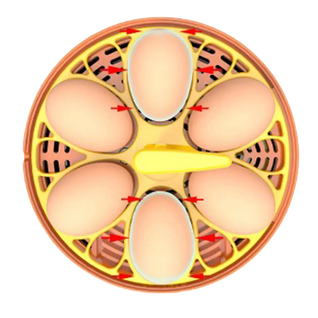 Mini Digital 6 Eggs Incubator Automatic Temperature Brooder Chicken Duck Bird Egg Hatcher Farm Poultry Hatchery Machine
Mini Digital 6 Eggs Incubator Automatic Temperature Brooder Chicken Duck Bird Egg Hatcher Farm Poultry Hatchery Machine