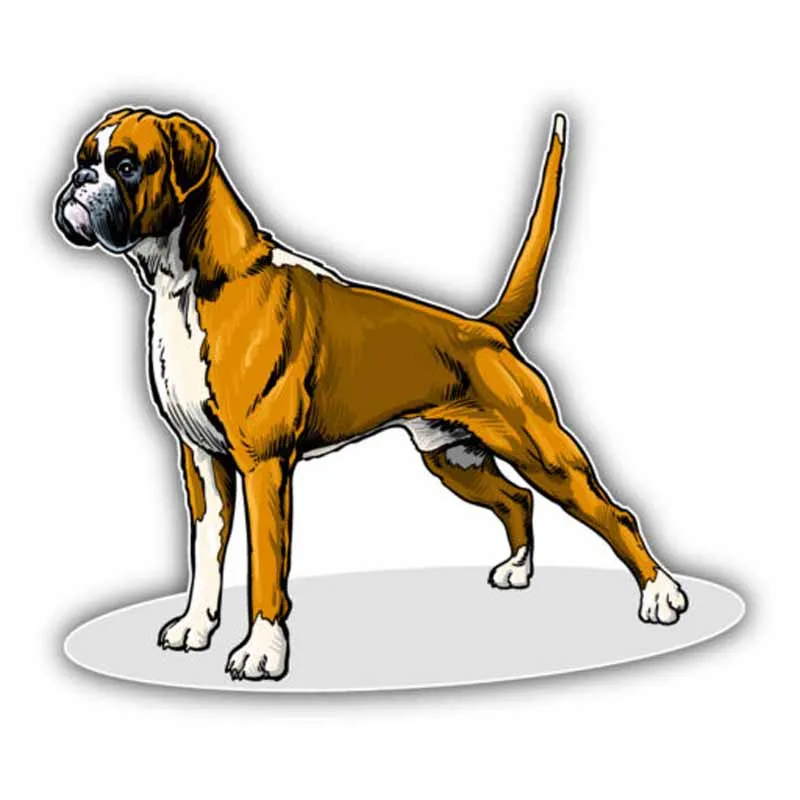15cmx13cm Funny strong dog Vinyl Car stickers Decals Motorcycle Accessories Car-Window Decorative Goods PVC
15cmx13cm Funny strong dog Vinyl Car stickers Decals Motorcycle Accessories Car-Window Decorative Goods PVC